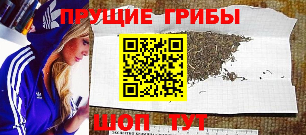 Галлюциногенные грибы Psilocybe  Вход с VPN  Липецк 